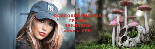 jwh Богданович