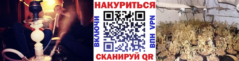 Шишки марихуана конопля Полтавская